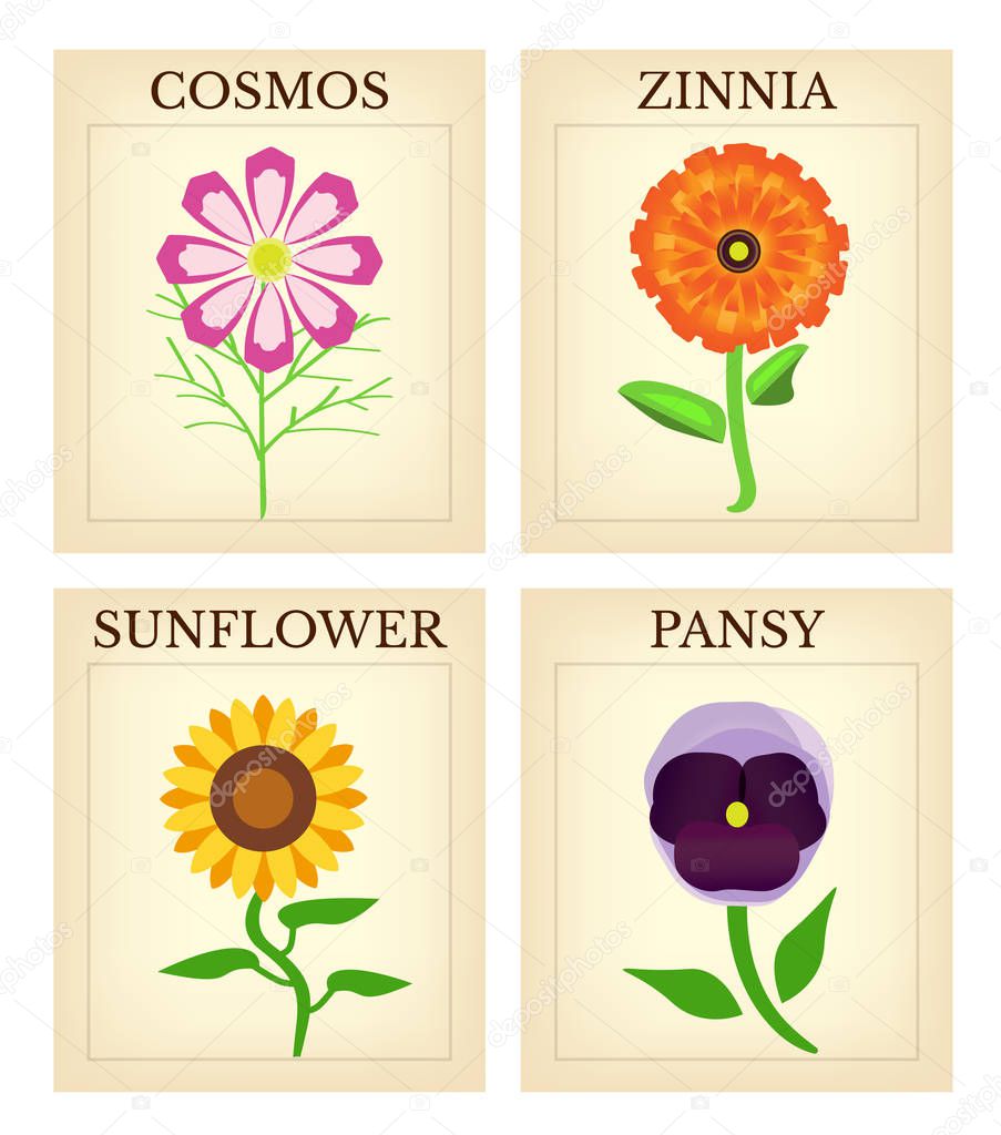 Download Flower Seed Packets Set Four Vintage Flower Seed Packets Including — Stock Vector © adamsl ...