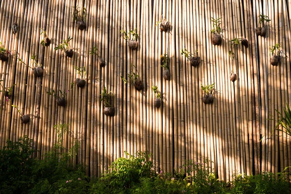 Kreativa planteringsjord av blommor på bambu vägg — Stockfoto