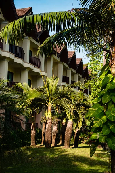 Tropical resort hotel building in green foliage — Stock Photo, Image