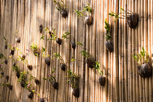 Dekorativa vägg av bambu med gröna växter Stockbild