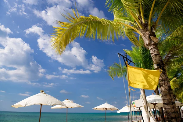 white umbrellas near the palm tree and yellow flag