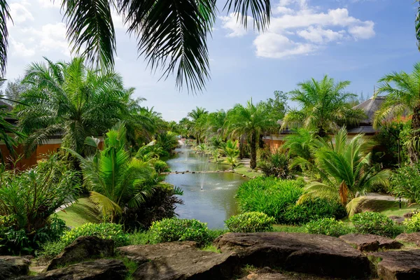 Lake with fountains among palm trees and paths — Stock Photo, Image