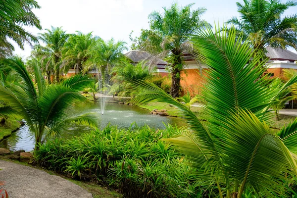 Liści palmowych zbliżenie przeciwko fontanna na jeziorze — Zdjęcie stockowe