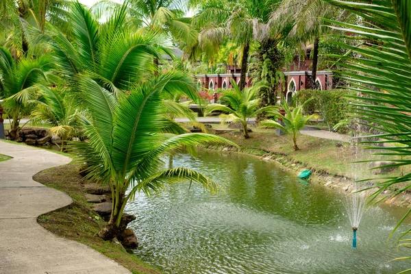 Fountain in the lake next to palm trees on the banks — Stock Photo, Image