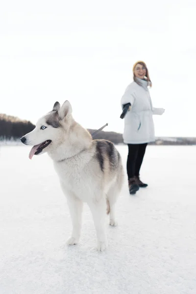 Szczęśliwa młoda dziewczyna bawi się z syberyjskim husky dog w parku zimowym — Zdjęcie stockowe