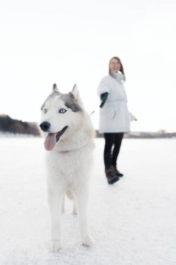 Kış parkında Sibirya köpeğiyle oynayan mutlu genç kız. Donmuş bir gölde yürüyorlar.
