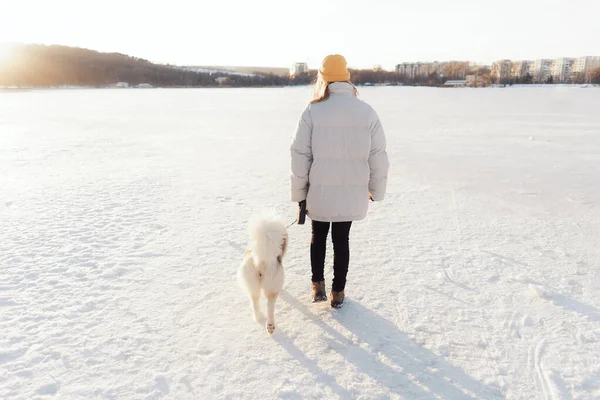 Glückliches Junges Mädchen Beim Spielen Mit Einem Sibirischen Husky Hund — Stockfoto