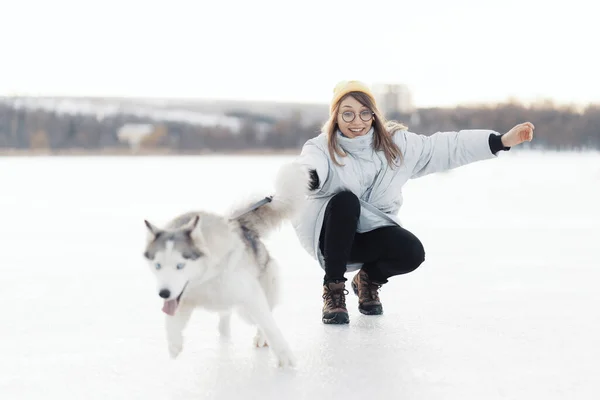 Szczęśliwa Młoda Dziewczyna Bawiąca Się Syberyjskim Husky Dog Parku Zimowym — Zdjęcie stockowe