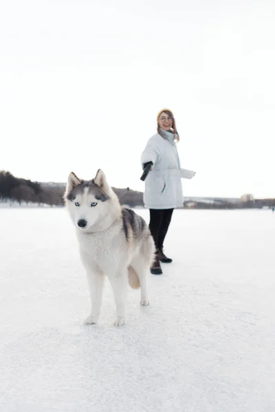 Szczęśliwa Młoda Dziewczyna Bawiąca Się Syberyjskim Husky Dog Parku Zimowym — Zdjęcie stockowe