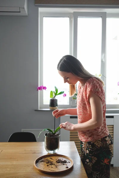 素敵な女性は自宅で花を移植 — ストック写真