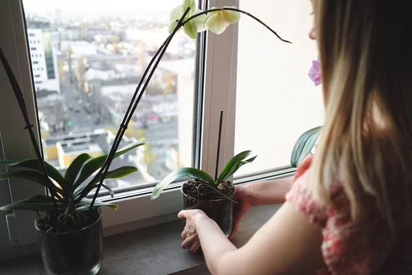 Mulher organizando flores na casa — Fotografia de Stock