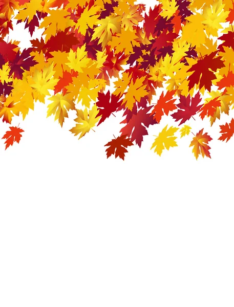 단풍나무 잎으로 뒤덮인 가을 풍경 — 스톡 벡터