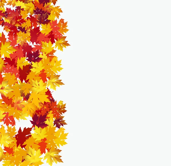 Fundo Outono elegante com folhas de bordo contra fundo branco —  Vetores de Stock