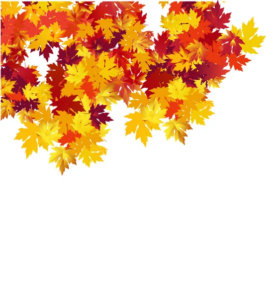 Outono fundo com folhas de bordo —  Vetores de Stock