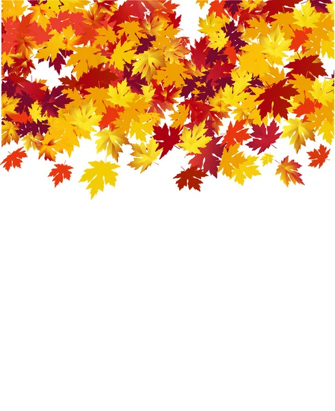 Fundo Outono elegante com folhas de bordo contra fundo branco — Vetor de Stock