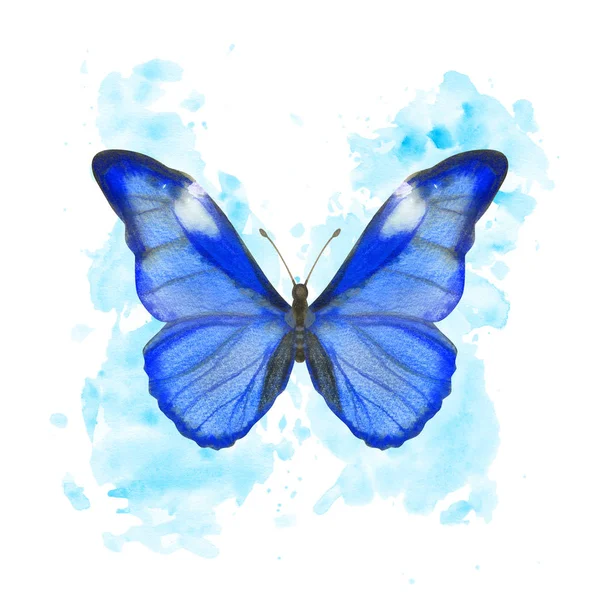 Handgezeichneter Aquarell-Schmetterling morpho rhetenor auf gespritztem Hintergrund — Stockfoto