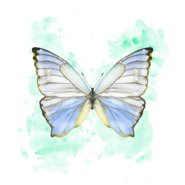 Kézzel rajzolt akvarell pillangó Morpho Godarti a fröcskölt háttér — Stock Fotó
