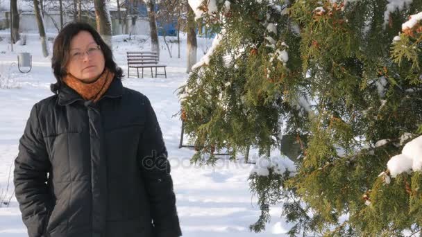 Une jeune femme dans un parc avec du sapin dans la rue, les mains touchent les branches des arbres, les examinant. Saison hiver — Video