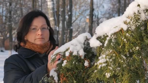 Une jeune femme dans un parc avec du sapin dans la rue, les mains touchent les branches des arbres, les examinant. Saison hiver — Video