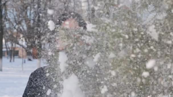 Une jeune femme dans un parc avec du sapin dans la rue, les mains touchent les branches des arbres, les examinant. Saison hiver — Video