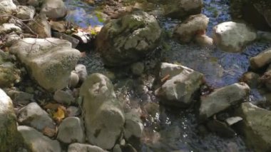 kayaların üzerinden akan dere