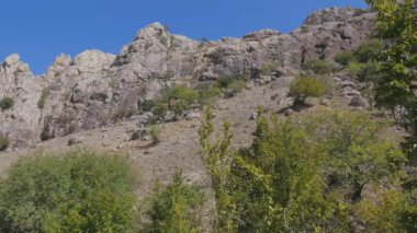 Hillside yeşil ağaçlar ile. Crimea. Zelenogorie.