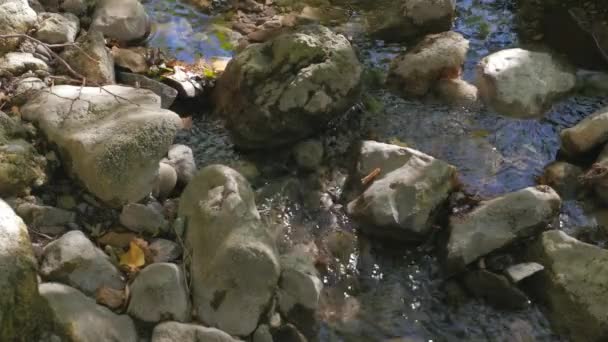 Torrente che scorre sopra le rocce — Video Stock