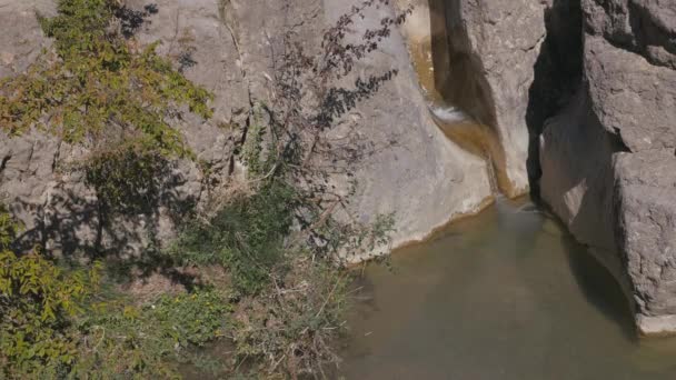 Corriente de montaña que fluye a través de piedras — Vídeo de stock