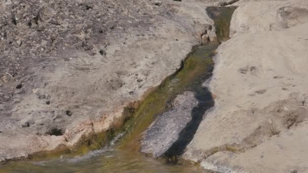 Гірський потік тече крізь камені — стокове відео