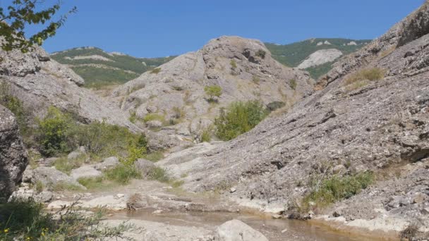 A brook runs through the mountains. Crimea. Zelenogorie. — Stock Video