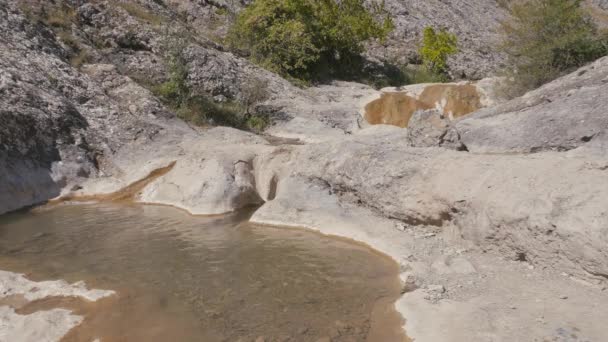 Bergbeek stroomt door stenen — Stockvideo
