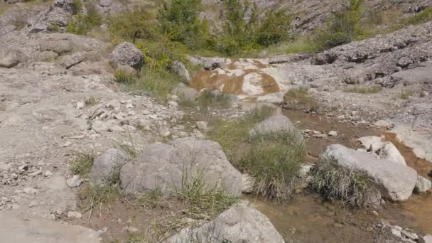 Gebirgsbach fließt durch Steine — Stockvideo