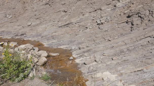 Mountain stream flowing through stones — Stock Video