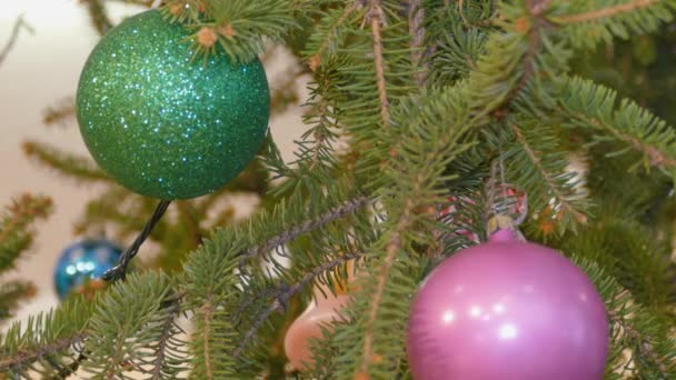 Footage decoration toy on a Christmas tree — Stock Video