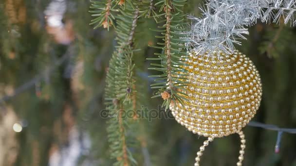 Juguete de decoración de imágenes en un árbol de Navidad — Vídeos de Stock
