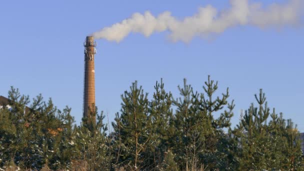 工业烟气从烟囱上蓝蓝的天空 — 图库视频影像