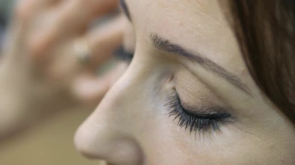 Maquillador haciendo un maquillaje de modelos en el salón — Vídeos de Stock