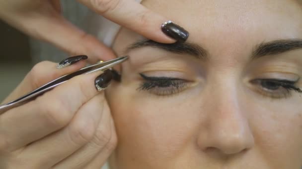 Primer plano de las manos esteticistas usando pinzas en las cejas de las mujeres en el salón de belleza — Vídeos de Stock