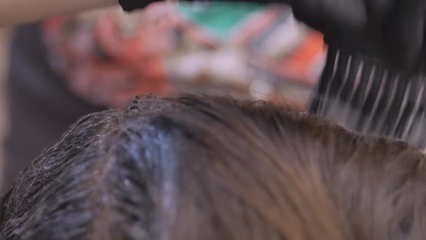 Barbeiro. Cabelo profissional colorir um cabeleireiro . — Vídeo de Stock