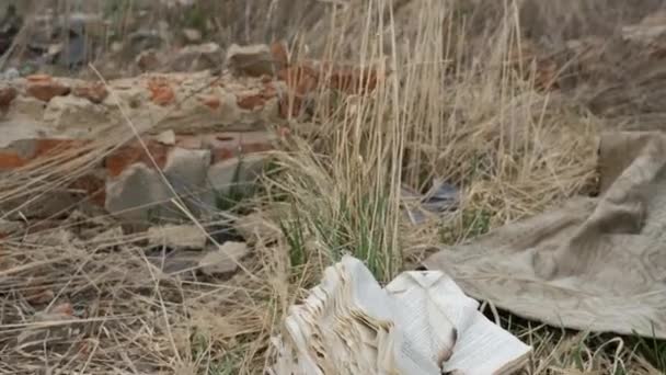 Ecologia. Dump, I bambini nella zona contaminata insieme alla madre vivono nel futuro . — Video Stock