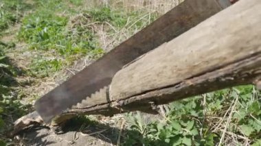 Ahşap el testeresi, farklı yönlere uçan talaş kesmek.