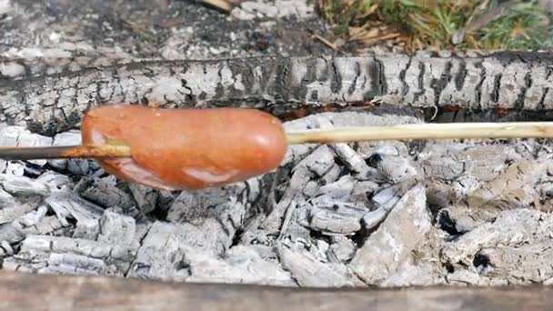 Выпечка колбас на древесном угле . — стоковое видео