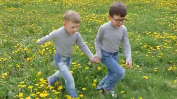 Childrens Fun au printemps. Les enfants courent à travers le champ vert avec des fleurs raides pissenlits . — Video