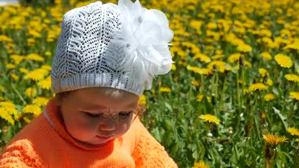 Bir bahar glade içinde dandelions ailesiyle birlikte mutlu çocuk. — Stok video