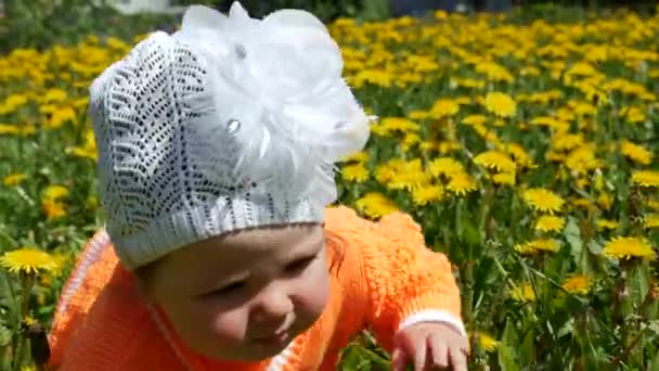 Счастливый ребенок на весенней поляне в одуванчиках со своей семьей . — стоковое видео