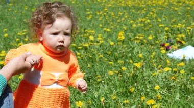 Bir bahar glade içinde dandelions ailesiyle birlikte mutlu çocuk.
