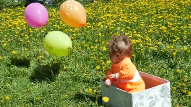 Gelukkig kind in een voorjaar-glade in paardebloemen met zijn gezin. — Stockvideo