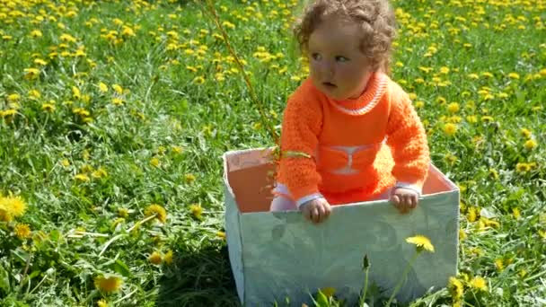 Boldog gyermek a tavaszi tisztáson a pitypang a családjával. — Stock videók