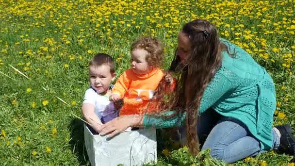 Gelukkig kind in een voorjaar-glade in paardebloemen met zijn gezin. — Stockvideo