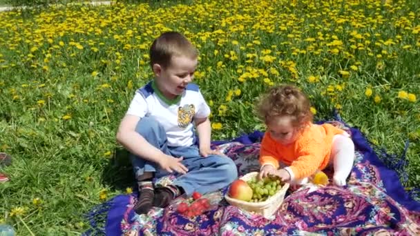 Criança feliz em uma clareira de primavera em dentes de leão com a sua família . — Vídeo de Stock